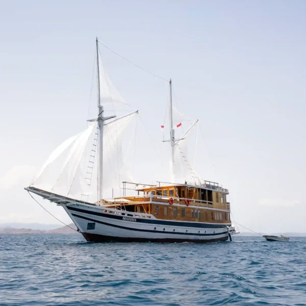 Catnazse Liveaboard Review: Top-Rated Boat for an Unforgettable Komodo Dragon Tour by Komodo Luxury