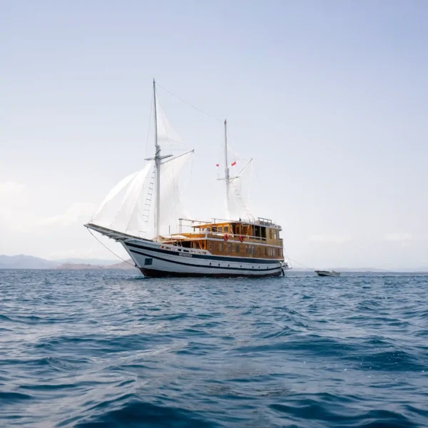 Catnazse Liveaboard Cruise | Komodo Tour | Komodo Luxury