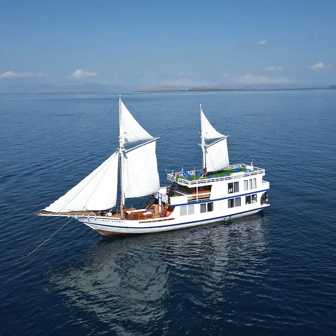 DELUXE Boat Charter | Komodo Tour | Komodo Luxury