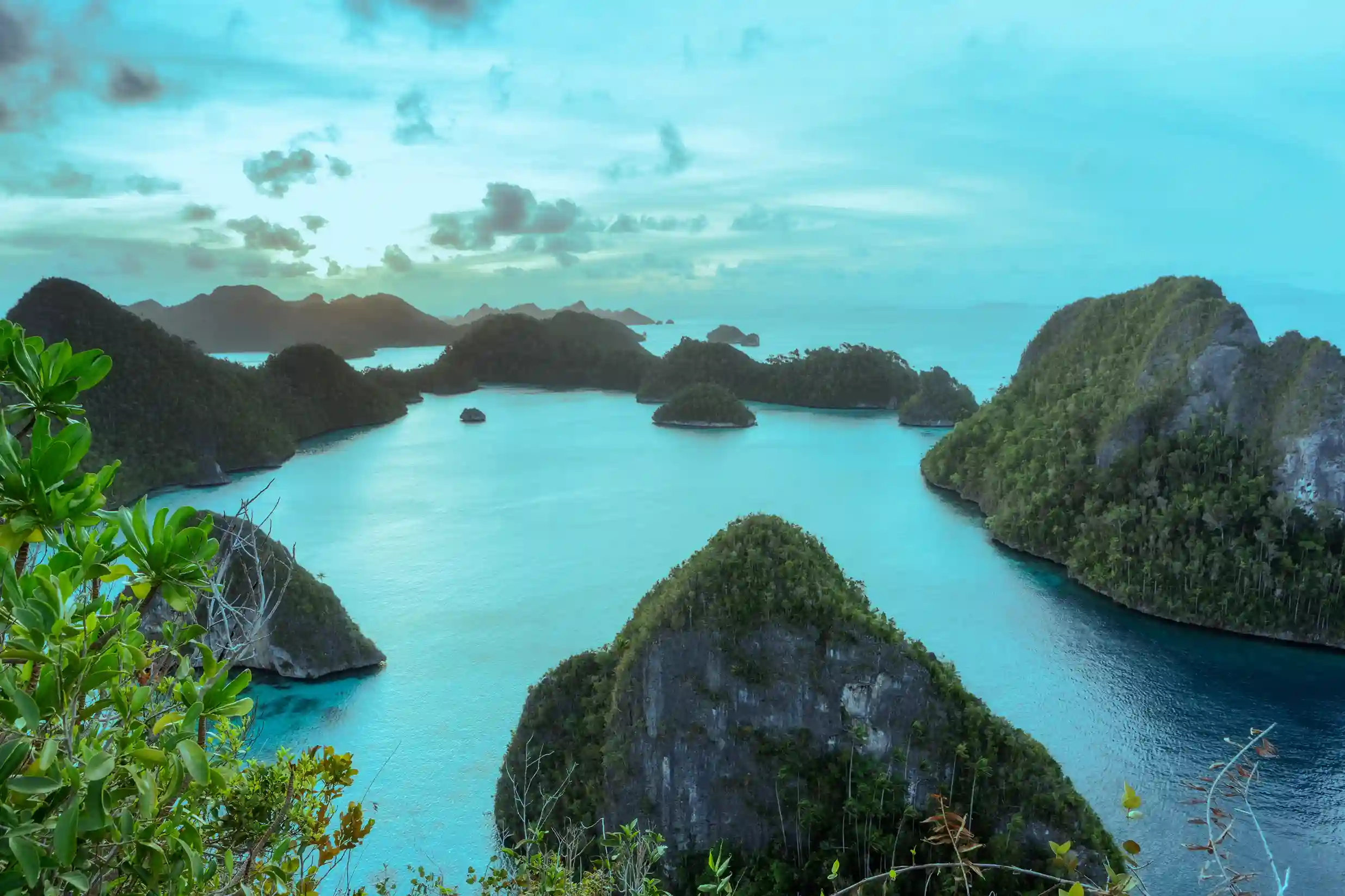 Trekking Activity | Raja Ampat Tour | Komodo Island Tour | Komodo Luxury