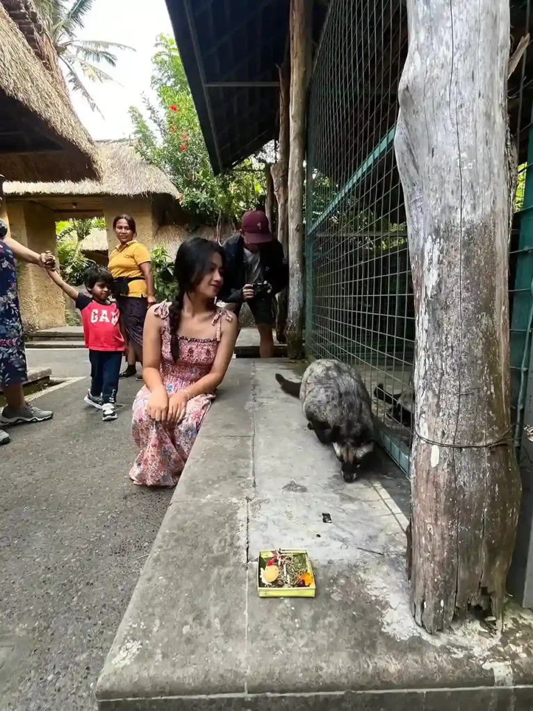 Luwak in ubud bali by eduard fernando