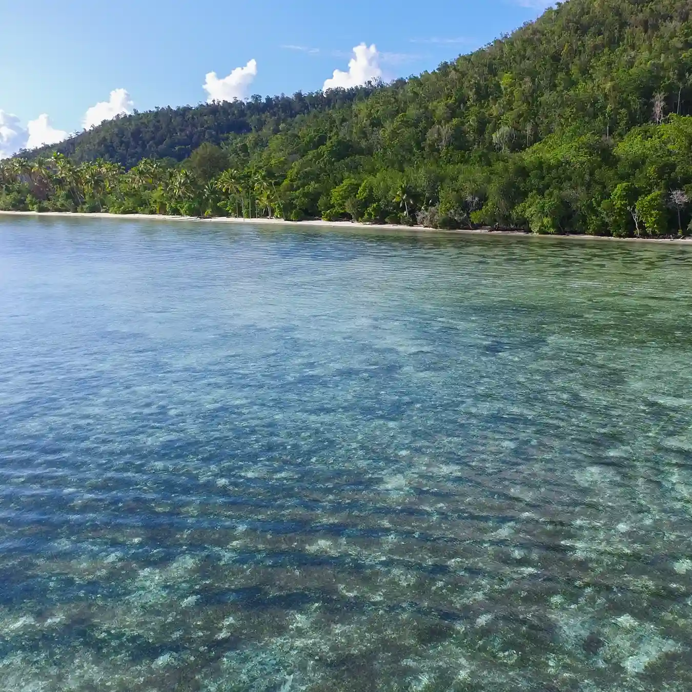 Sauwandarek on Raja Ampat | Komodo Luxury