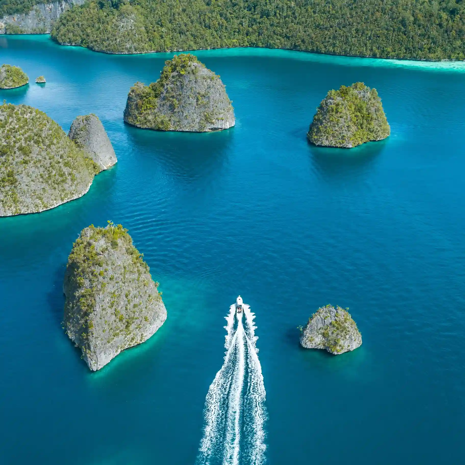 Trekking Activity | Raja Ampat Tour | Komodo Island Tour | Komodo Luxury