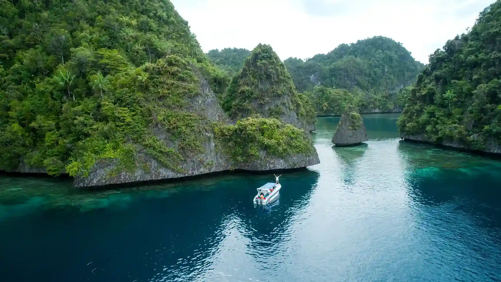 Liveaboard Activity | Raja Ampat Tour | Komodo Island Tour | Komodo Luxury