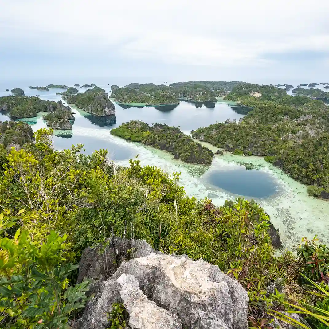 Harfat on Raja Ampat | Komodo Luxury