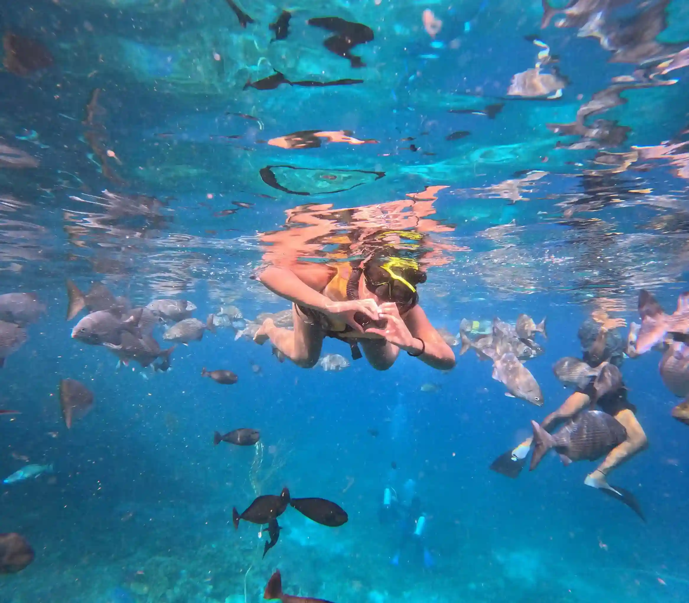 Snorkeling Activity | Raja Ampat Tour | Komodo Island Tour | Komodo Luxury