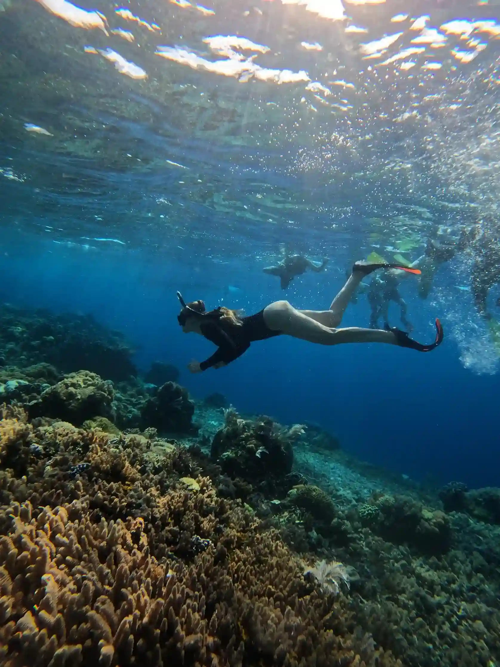 Snorkeling Activity | Raja Ampat Tour | Komodo Island Tour | Komodo Luxury