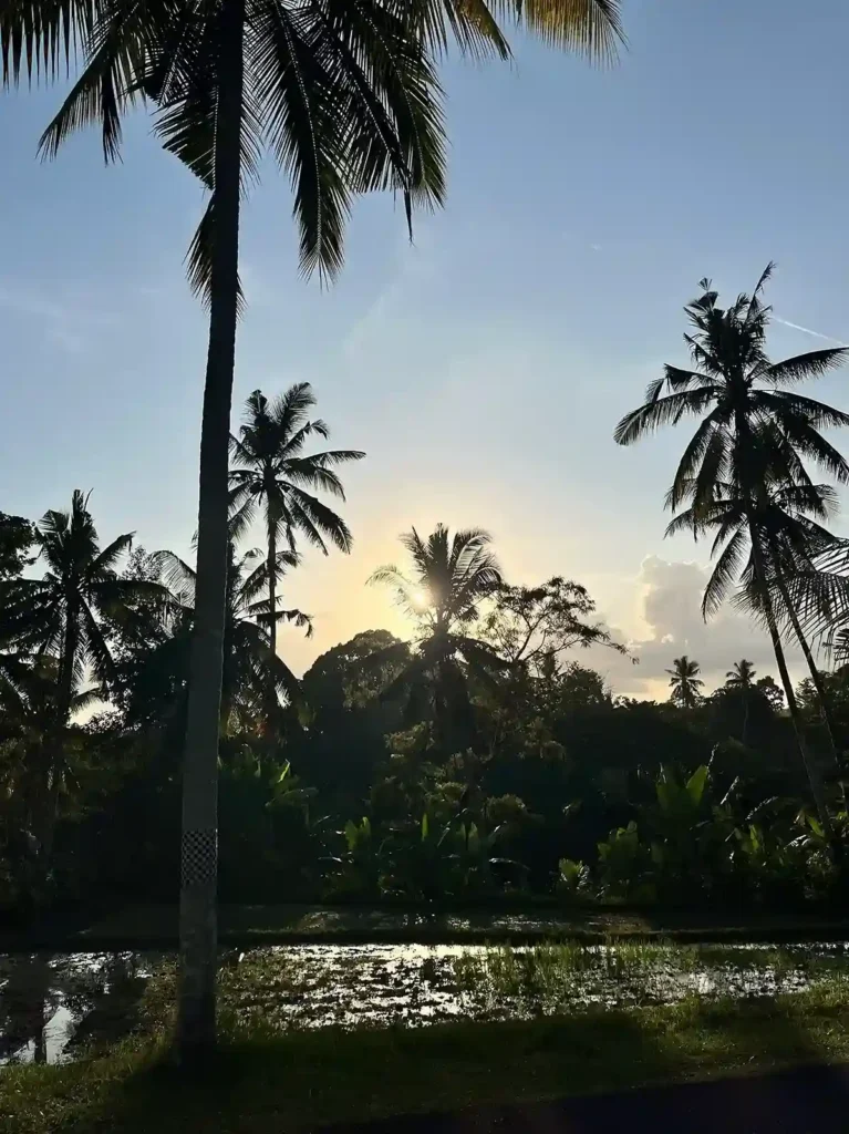 ubud bali vibes by eduard fernando