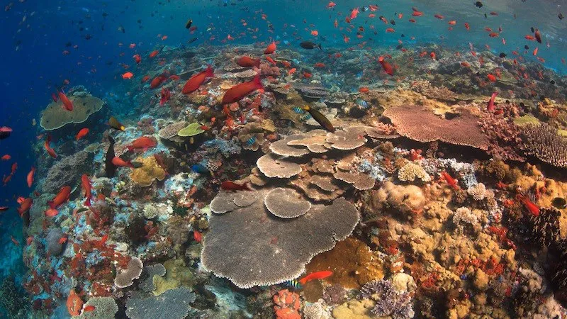 Batu Bolong on Komodo National Park | Komodo Tour Packages | Komodo Luxury