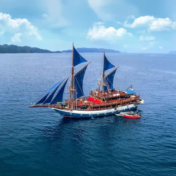 Sea Safari 8 Liveaboard Phinisi Cruise Boat Charter | Komodo Luxury