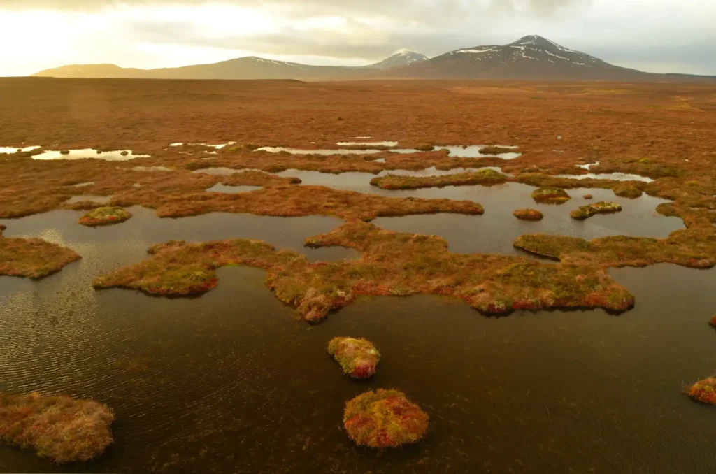 Wetland in the Flow Country, Scotland, UK (source: wikimedia-commons)