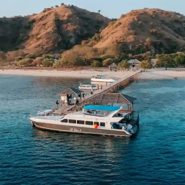 Experience Komodo Island in One Day: Your Complete Guide to a One Day Trip